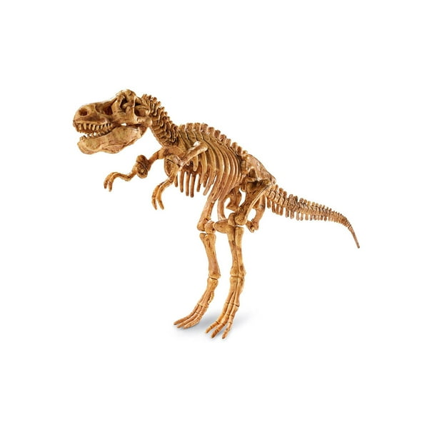 Mindware dig it up hotsell tyrannosaurus rex