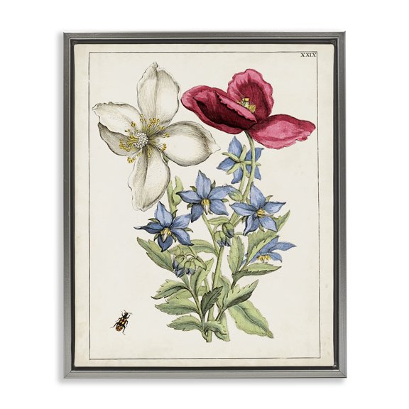 Stupell Industries Transitional Vintage Beetle & Flowers Gray Floating Frame Canvas Art, 17 x 21, by World Art Group
