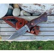 Yazoo Knives Handmade Damascus Buck Hunting Knife with Leather Sheath - Ideal for Skinning, Camping, EDC Fixed Sharp 5" Blade, Walnut Wood Handle, Bushcraft Knife, Predator Hunter