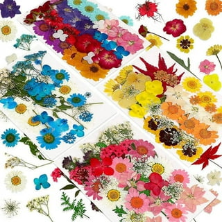 TRINGKY Dried Flowers for Resin Molds,Natural Dried Pressed Flowers Card  Making Supplies 