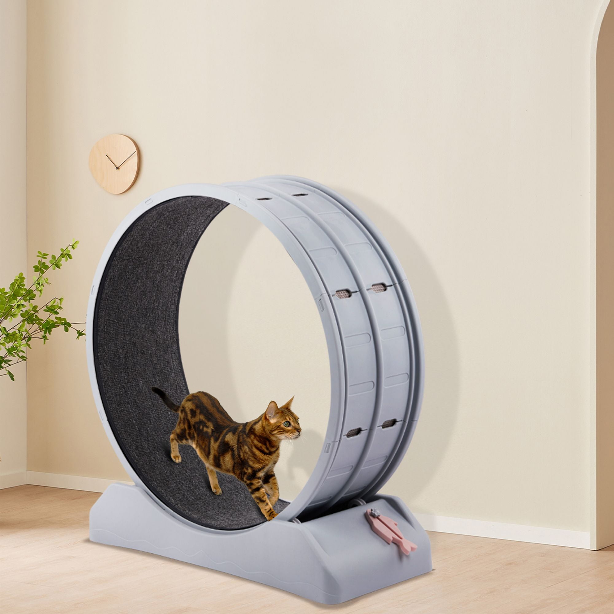 Kadyn 31" Cat Wheel Exerciser, Cat Wheels for Indoor Cats Fitness and Health, Cat Treadmill Wheel Suitable for Most Cats, Gray