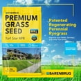 thumbnail image 2 of Barenbrug Turf Star RPR Grass Seed with Yellow Jacket Coating, 10lb, 2 of 5
