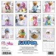 Willow Creek Press 2020 Jiffpom (Jiff the Pomeranian) Wall Calendar
