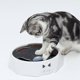 thumbnail image 5 of SCSYV Interactive Cat Turntable Electric 2 Speed Adjustable Automatic Puzzle Catch Mouse Play Cat Toy for Pet Supplies, 5 of 5