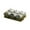 green, variant on deevoka Divided Serving Dishes Nordic Dried Fruit Plate for Chocolate Cookies Fruits clear