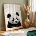 thumbnail image 6 of baby panda bea - Photography Animal Wildlife Black and White Nature Illustration Portrait Unframed Wall Art Print 16 x 24 inches, 6 of 60