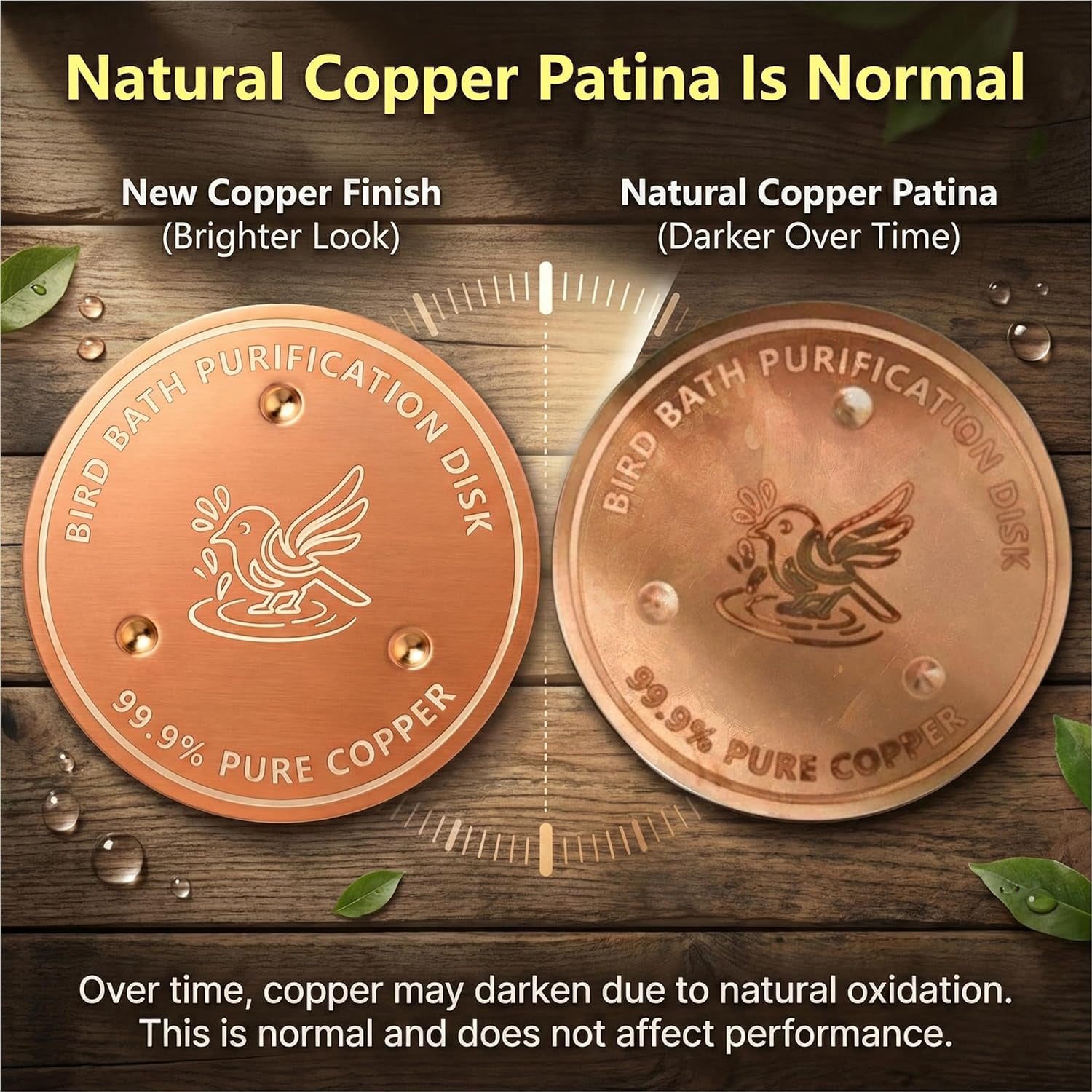 2 Pack Bird Bath Copper Disk, 0.6mm Thick 99.9% Copper Disk for Outdoor Bird Baths, Bowls, Fountains, All-Season Use