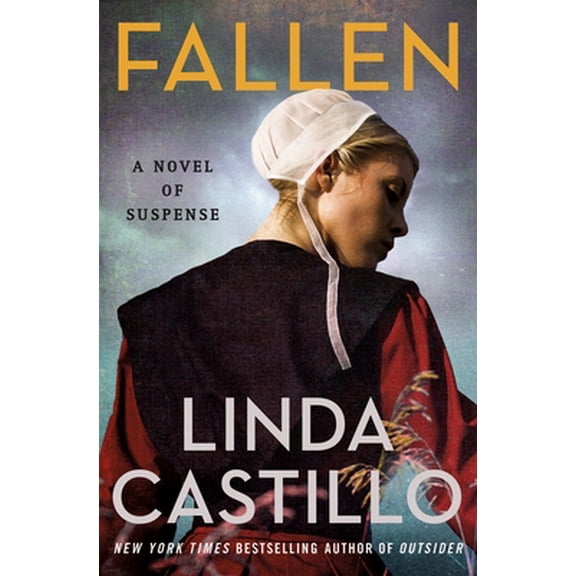 Pre-Owned Fallen: A Novel of Suspense (Hardcover) 125014292X 9781250142924