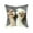 A, variant on Lilixerw Embroidered Animal Sheep Print Pillow Cover,2D Printed Cute Animals Pattern,Soft Polyester Square Decorative Pillowcase for Sofa,Bed,Living Room,17.7x17.7 Inch
