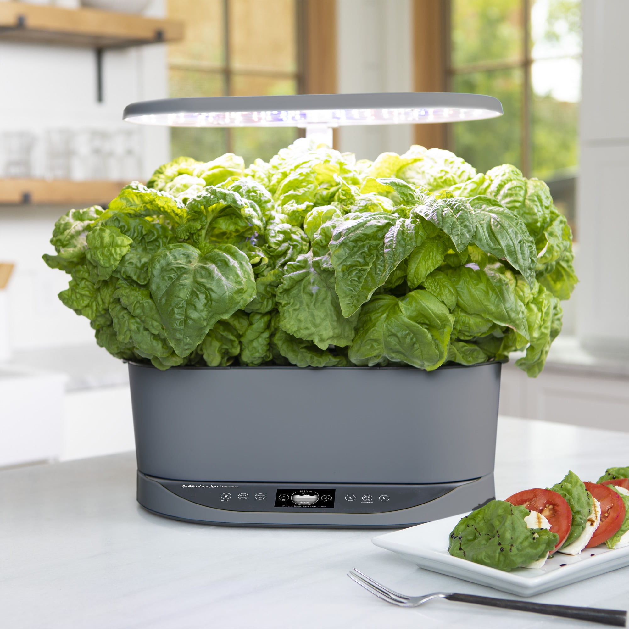 AeroGarden Bounty Basic Grey