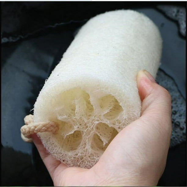 Estropajo de Lufa Natural, Suavizante con Agua, Herramienta de Limpieza Ecológica, Multitusos para Baño y Cocina, Duradero y Resistente, 7,5 Cm de Largo, 5 Cm de Diámetro.