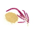 thumbnail image 4 of Earthcare Seeds - Amaranth Burgundy 200 Seeds (Amaranthus Cruentus) Heirloom - Open Pollinated, 4 of 5