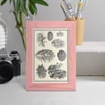 thumbnail image 5 of Aegean Collection IV -Framed Print w/glass-Sunset Pink, 5 of 8