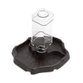 thumbnail image 3 of Cuenco de agua para reptiles, bebedero para reptiles, accesorios de alimentación, comedero para mascotas, hidratador automático para gecos. Café oscuro, 3 of 8