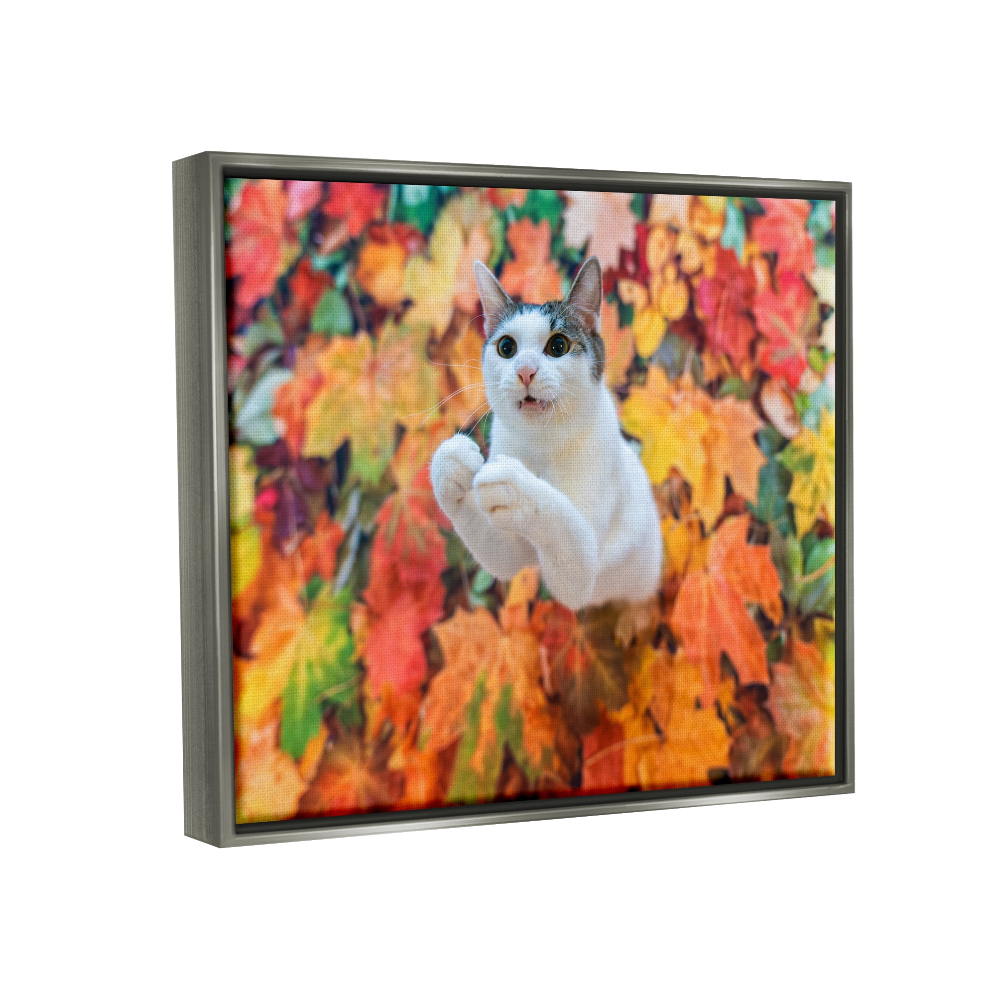 Stupell Industries Cat in Autumn Leaf Pile Animals & Insects Photography Gray Floater Framed Canvas Art Print Wall Art, 31 x 25