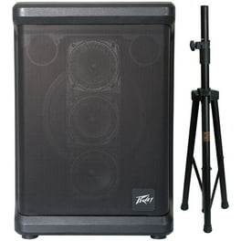 2) Peavey Pv115 Pro Audio DJ 15