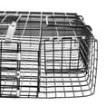 thumbnail image 3 of Rugged Ranch CHPTO Chipmunkinator Metal 2 Door Chipmunk Trap Cage (2 Pack), 3 of 13