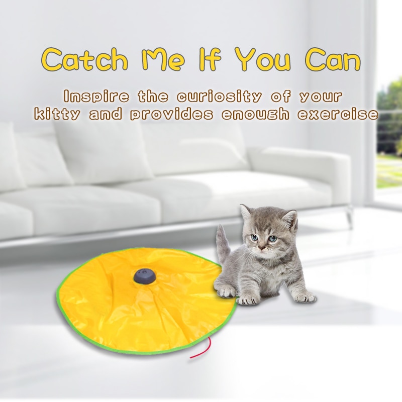 undercover mouse automatic cat toy