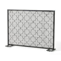 GDF Studio Pepperwood Modern Single Panel Iron Fireplace Screen, Black Brushed Silver