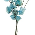 thumbnail image 5 of Vickerman 13.5-17" Light Blue Dried Cara Blossom Bundle, Preserved., 5 of 7