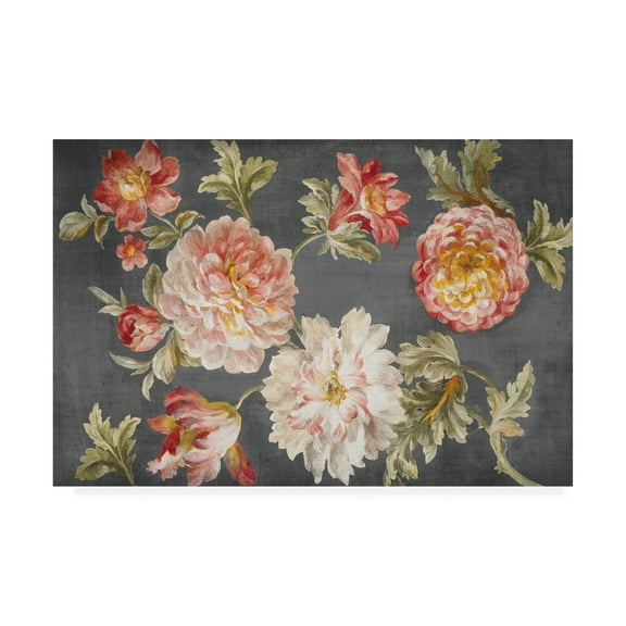 Trademark Fine Art 'Mixed Floral Charcoal' Canvas Art by Danhui Nai