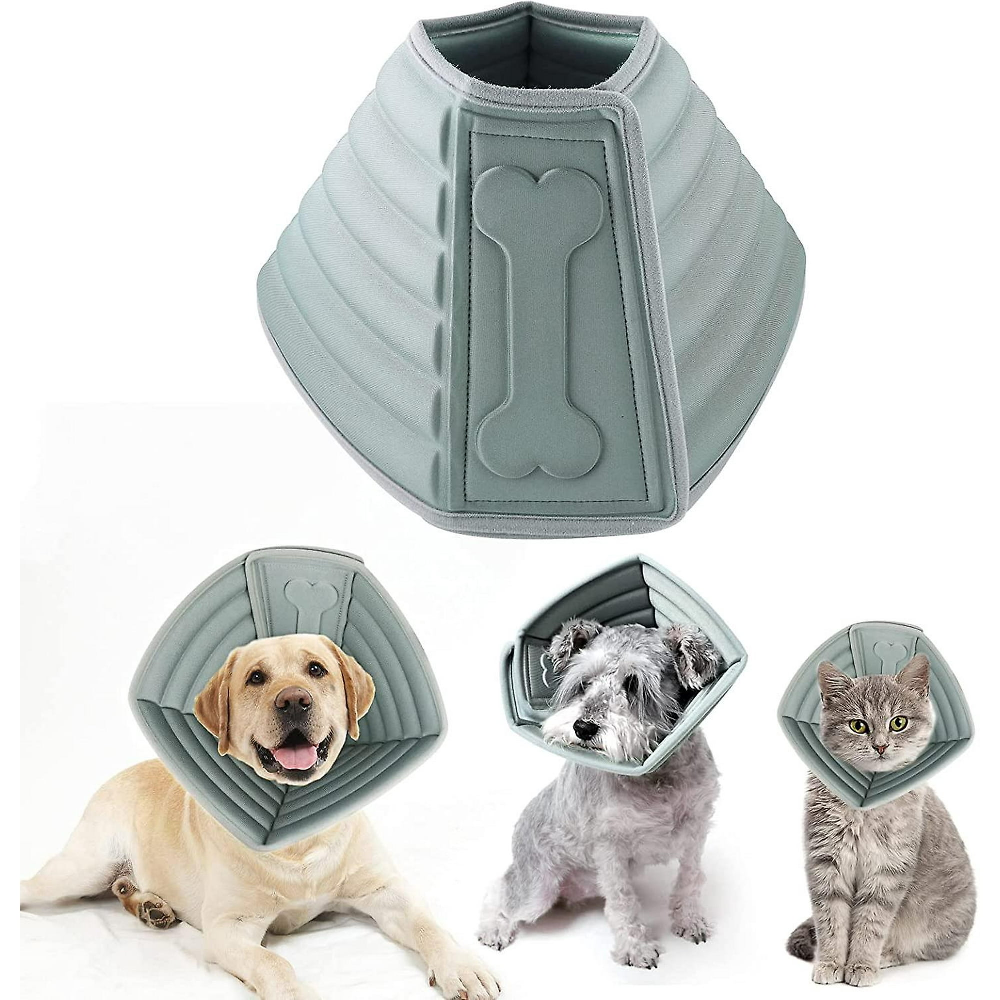 What To Do If Dog Licks Stitches