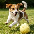 thumbnail image 4 of Squeaky Dog Ball Raised Texture Dog Chew Toy Bite-Resistant Puppy Teething Toy for Dogs Teeth Cleaning Boredom Relief, 4 of 8