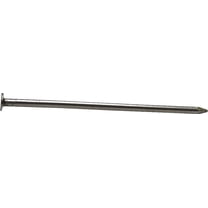 Pro-Fit 4 in. Common Bright Steel Nail Flat Head 1 lb