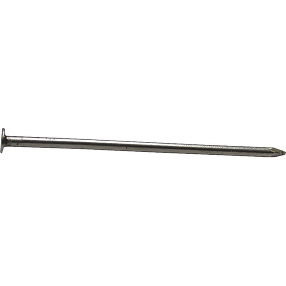 Pro-Fit 4 in. Common Bright Steel Nail Flat Head 1 lb
