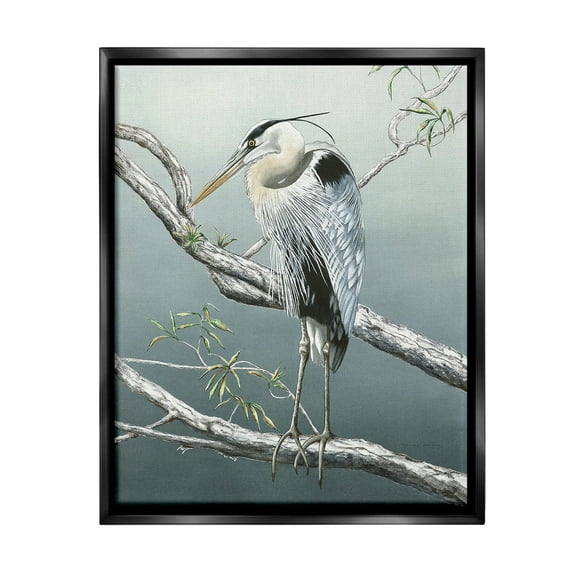 Stupell Industries Traditional Heron on Branch Animals & Insects Painting Black Floater Framed Canvas Art Print Wall Art, 17 x 21