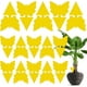 thumbnail image 1 of Paquete de 15 trampas para moscas de la fruta, mata mosquitos pegajoso de doble cara, atrapa insectos amarillo, mata insectos pegajoso para plantas de interior, 1 of 5
