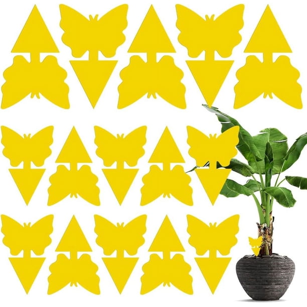 Paquete de 15 trampas para moscas de la fruta, mata mosquitos pegajoso de doble cara, atrapa insectos amarillo, mata insectos pegajoso para plantas de interior