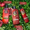thumbnail image 5 of Crema para Peinar Herbal Essences Fuerza & Brillo 300 ml, 5 of 5