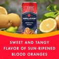 thumbnail image 2 of Sanpellegrino Sparkling Orange and Blood Orange Beverage: Blood Orange Flavor for Halloween, 24 Pack of 11.15 Fl Oz Cans, 2 of 8
