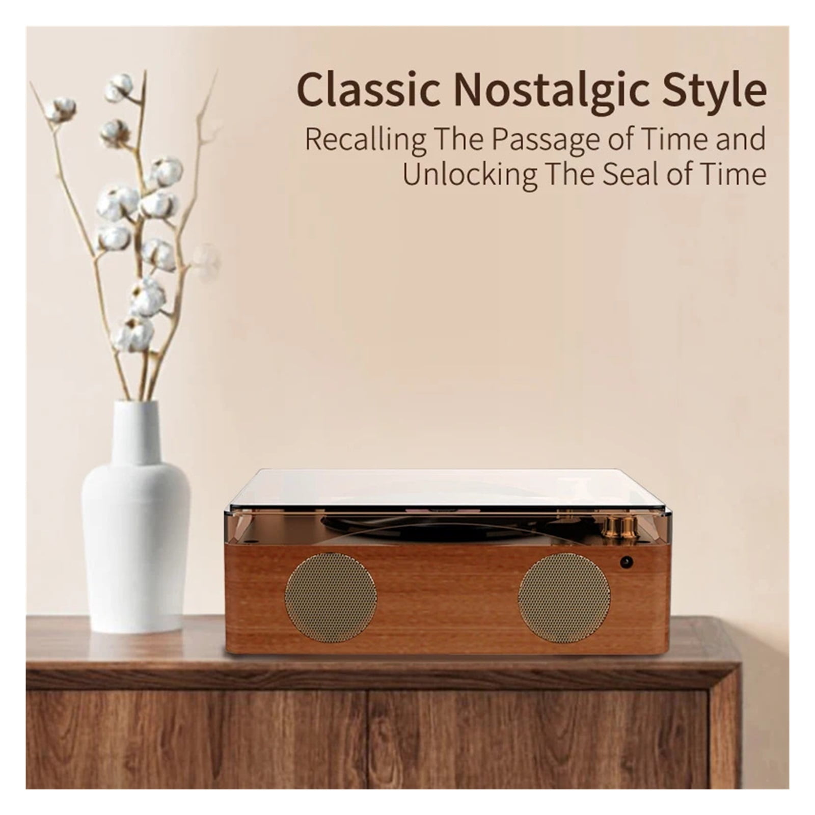 HIFI CD Player Wireless Bluetooth USB Lossless Playback FM Radio Infrared Remote