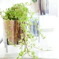 thumbnail image 3 of Cyan lighting - Candelabra - Basil - Large Candleholder - 11 Inches Wide by, 3 of 5