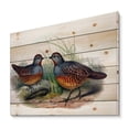 thumbnail image 2 of Designart 'Ancient Birds In The Wild VII' Traditional Print on Natural Pine Wood, 2 of 5