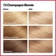 thumbnail image 2 of Color de cabello 73 Champagne Blonde Revlon unisex 1 aplicación, 2 of 8