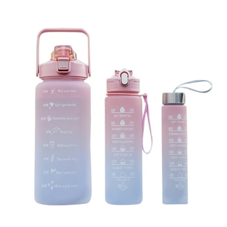 

EDFRWWS 3pcs Drinking Bottles Reusable Cups Cold Water Bottle for Outdoor (Pink)