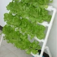 thumbnail image 2 of MYG 50pcs Plant Net Cup and 50pcs Cylinders Sponge, for Hydroponic Plant Starting, 2 of 9