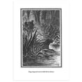 thumbnail image 2 of Enciclopedia Ilustrada del Reino Vegetal, de Libsa, Libsa, 2 of 3