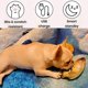 thumbnail image 4 of Juguete interactivo para perros, divertido pez eléctrico que se mueve, cepillo de dientes para mascotas, juguete de entrenamiento para masticar, apto para todas las mascotas, juguete molar, 4 of 5