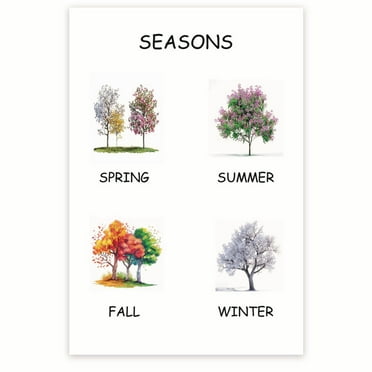 Seasons Classroom Poster - Learning The Seasons Poster - Early Learning Classroom Resource - 12 x 18 Inch Poster - Unframed - Premium 100lb Gloss - Made In USA - BMCP060