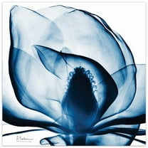 Empire Art Direct Blue Magnolia X-Ray Frameless Free Floating Tempered Glass Panel Graphic Wall Art, 24" x 24" x 0.2", Ready to Hang