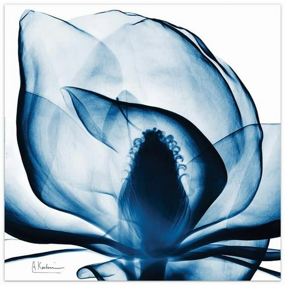 Empire Art Direct Blue Magnolia X-Ray Frameless Free Floating Tempered Glass Panel Graphic Wall Art, 24" x 24" x 0.2", Ready to Hang