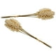 thumbnail image 4 of 2 Ramo de plantas artificiales blancas Decoración de trigo Grano Flor Rama Realista Simular Ramos de flores Fotografía Prop, 4 of 5