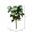 thumbnail image 5 of Vickerman 23" Artificial Green Peony Spray., 5 of 8