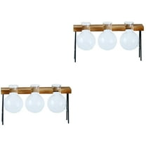 2 Pieces Planter Terrariums Bulb Vessels Pots for Plants Vase