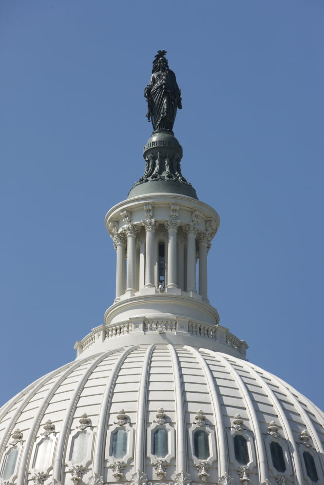 The United States Capitol building dome and statue ...