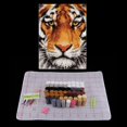 thumbnail image 4 of Kit de aguja de lengüeta Zulema para bricolaje y costura, Kits de ganchos de cierre, 75 x 57 cm, 4 of 8